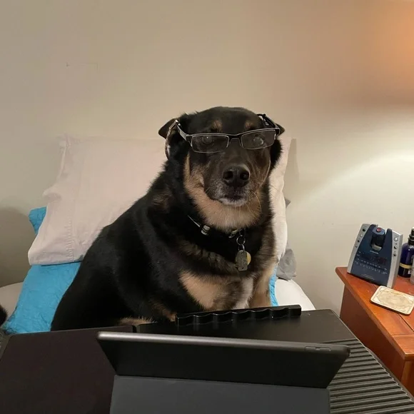 Offers‎ Welcome - Picture 3 of 10